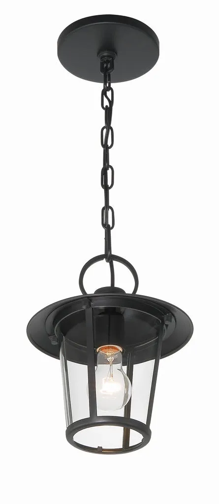 Andover 1 Light Matte Black Outdoor Pendant