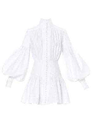 Astible Button-Down Long-Sleeve Mini Dress