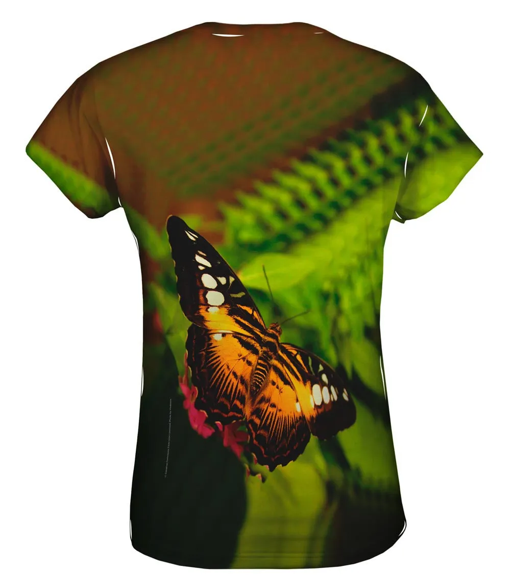 Colorful Dark Orange Butterfly