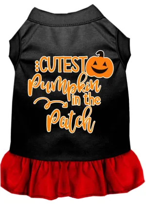 Cutest Pumpkin In The Patch Screen Print Dog Dress Black With Red Med