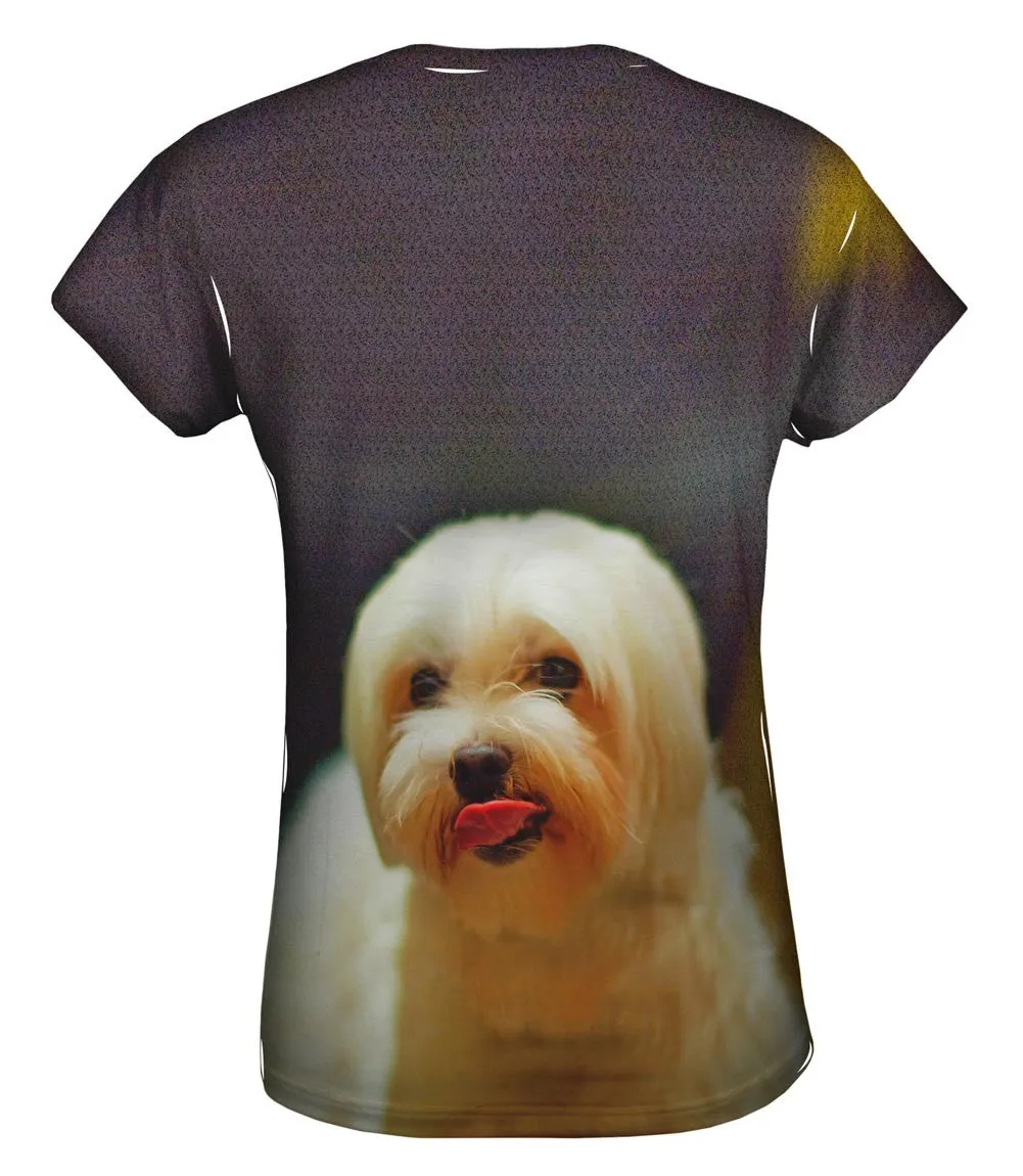 Lip Lick Maltese