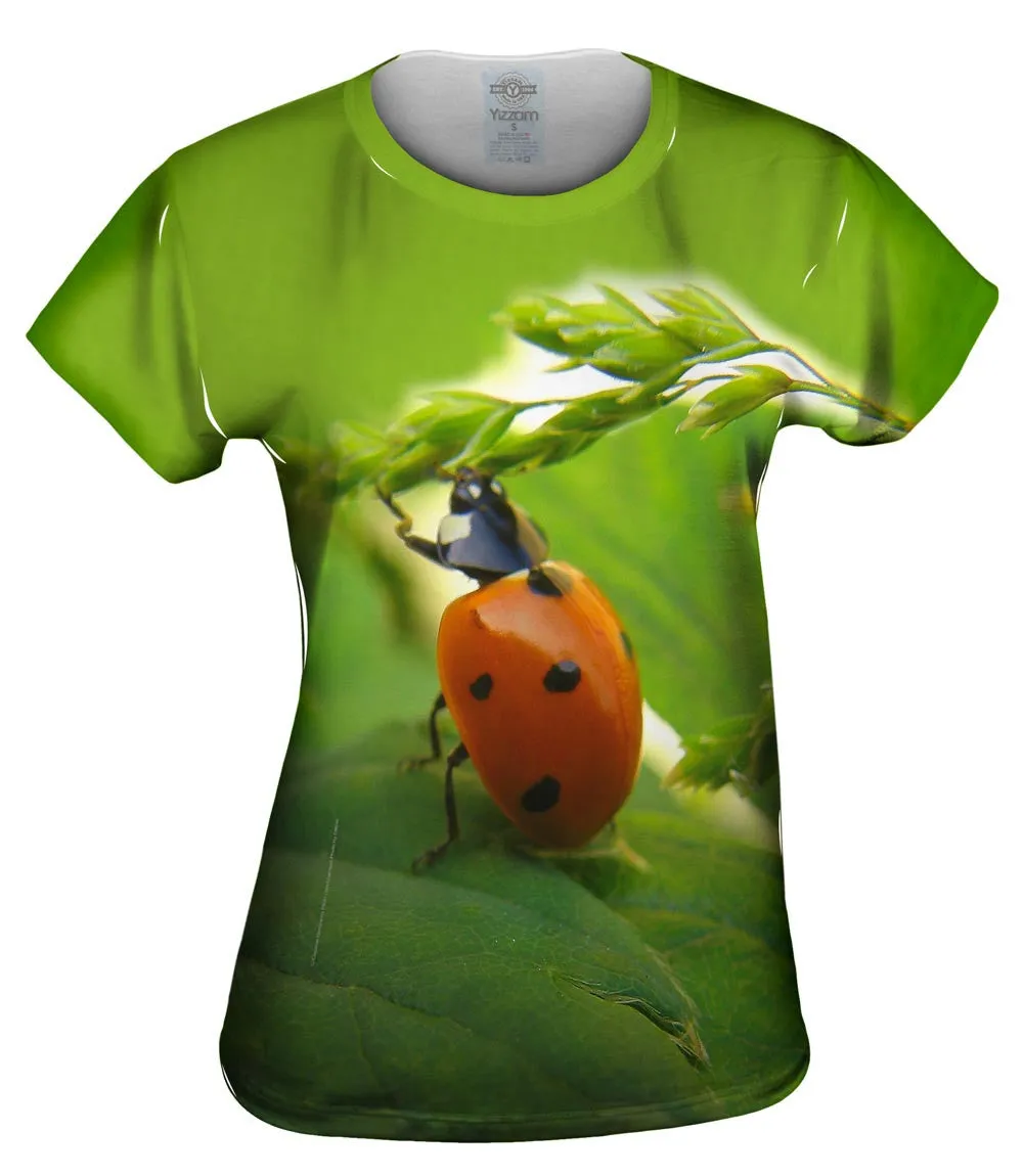 Pull Ups Ladybug