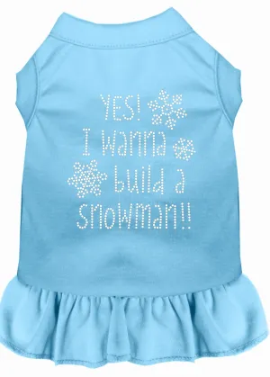 Yes! I Want To Build A Snowman Rhinestone Dog Dress Baby Blue Med (12)